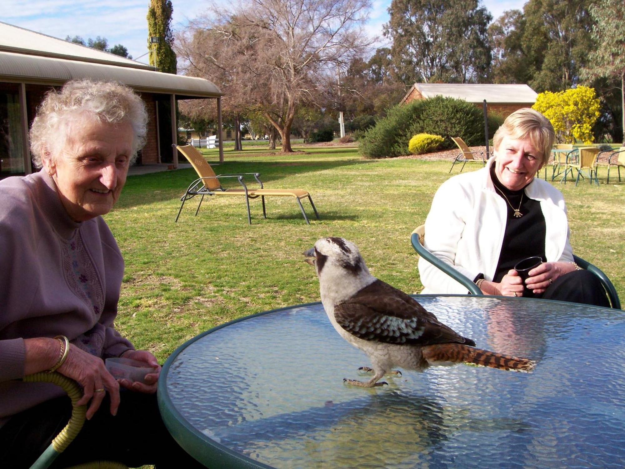 Cadell On The Murray Motel Moama Esterno foto